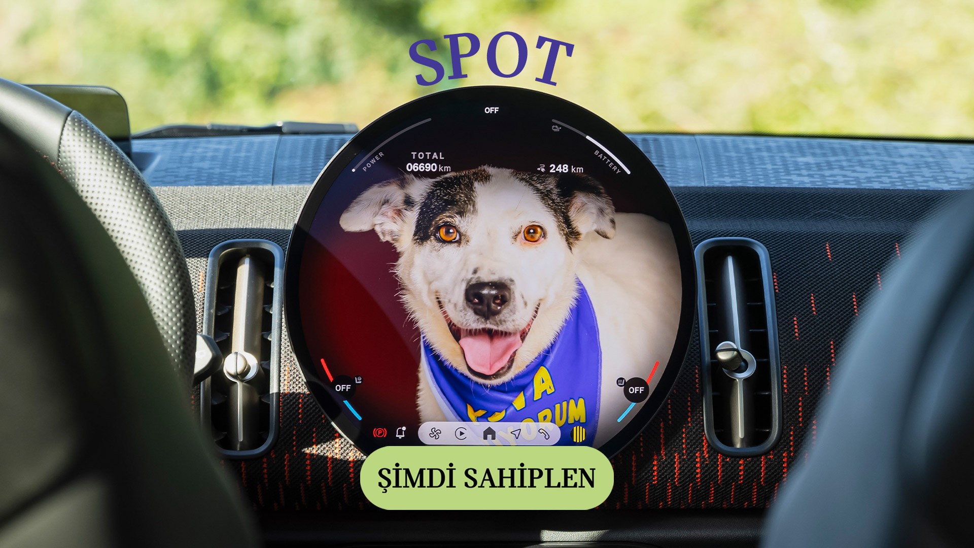 MINI Pati | MINI Türkiye